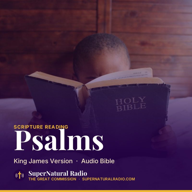 Podcast cover: Scripture Reading: Psalms (KJV)