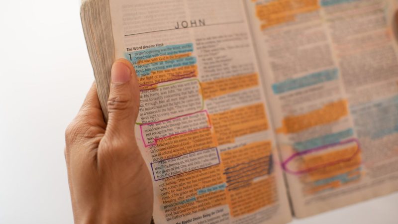 Hands holding an open Bible